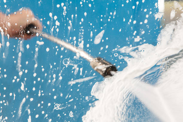 Animal Enclosure Cleaning in Roselle, IL