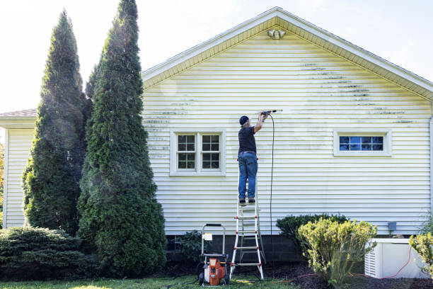 Best Soft Washing  in Roselle, IL